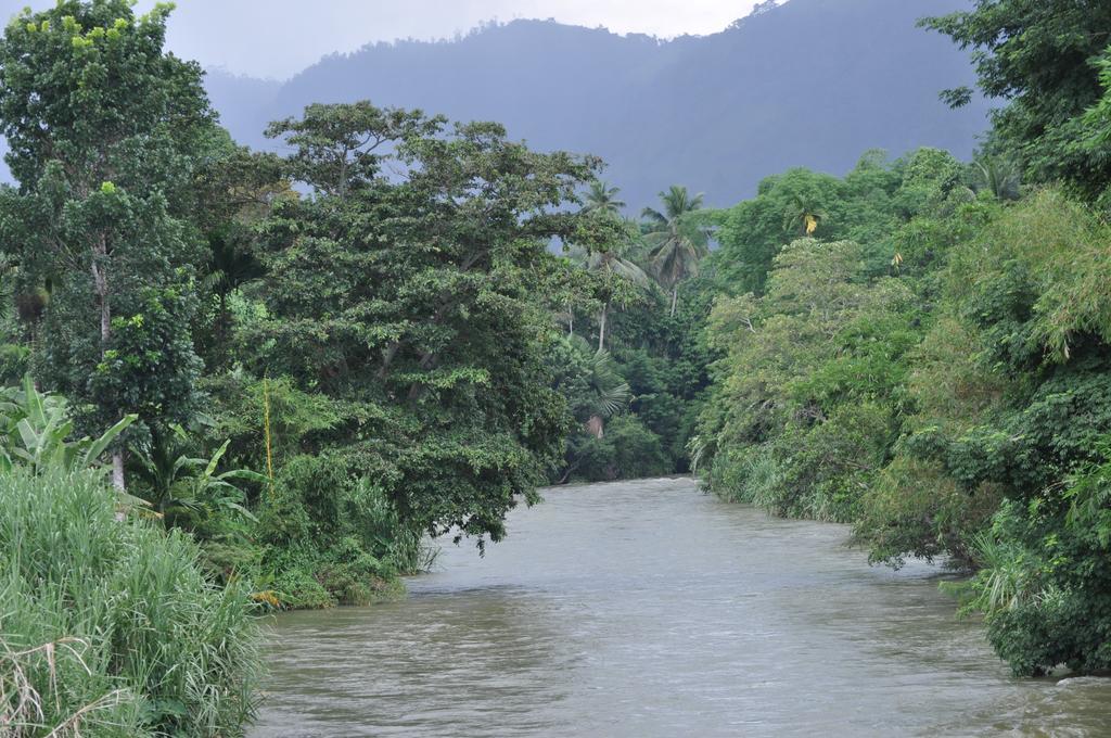 River Edge Bungalow Matale Ngoại thất bức ảnh